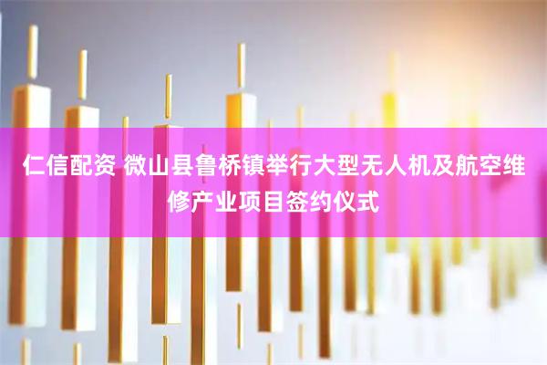仁信配资 微山县鲁桥镇举行大型无人机及航空维修产业项目签约仪式