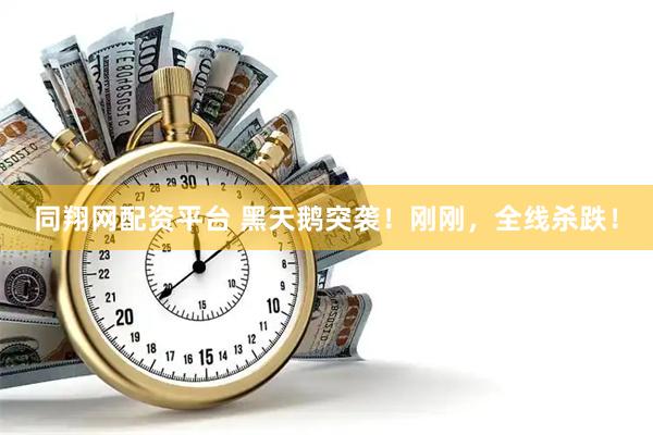 同翔网配资平台 黑天鹅突袭！刚刚，全线杀跌！